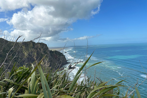 Piha &amp; Karekare - Out of Auckland Private TourPrivate Guided Tour in German