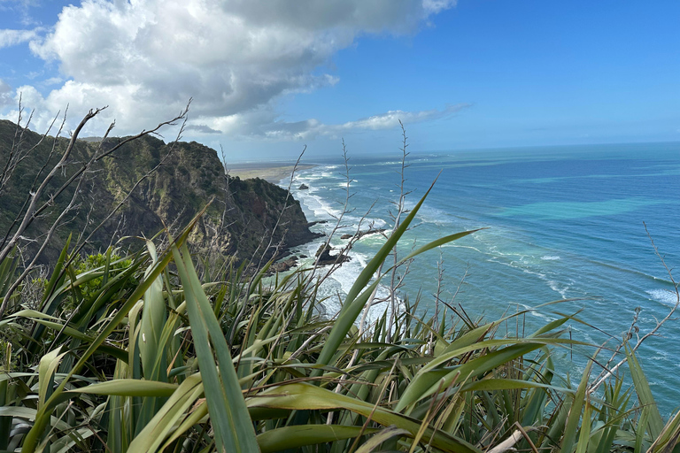 Piha e Karekare - Tour particular saindo de AucklandTour guiado particular em inglês