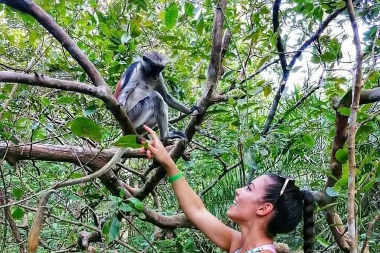 Zanzibar: Floresta de Jozani, centro de borboletas e praia de MtendeTour particular com traslado de ida e volta no hotel incluído