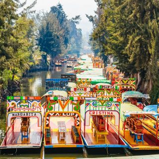 Mexico City: Xochimilco, Casa Azul, Coyoacán & UNAM Tour