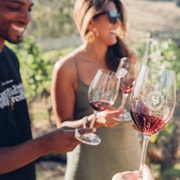 Auckland: Waiheke Luxury Afternoon Seafront Wine + Dine