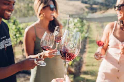 Auckland: Waiheke Luxury Afternoon Seafront Wine + Dine - Image 3