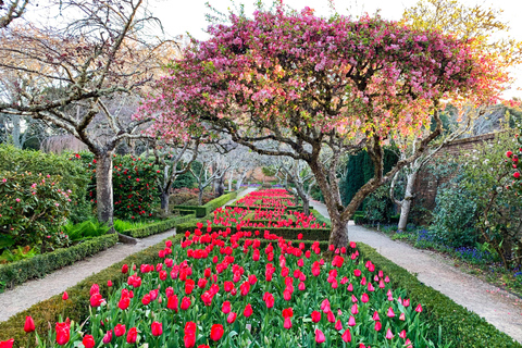 Woodside: Filoli Historic House and Garden Entry Ticket