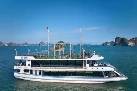 CRUCERO SEA LION - 6 horas explorando la bahía de Halong
