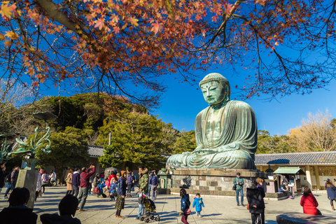 From Tokyo : Kamakura & Enoshima Island Private Day Trip
