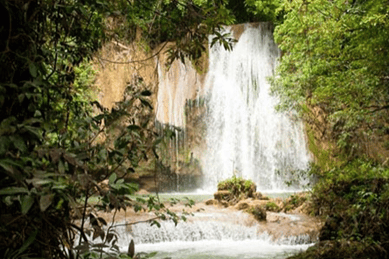 Punta Cana: Samana Tour Cascada El Limon Hotel Pickup