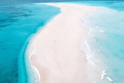 Zanzibar: Full-Day Mnemba - Turtle Swim & Sunset Dhow Cruise With Pickup From Nungwi/Kendwa Hotels