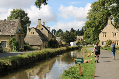 Tour privato del Palazzo di Blenheim e del Cotswold con pass