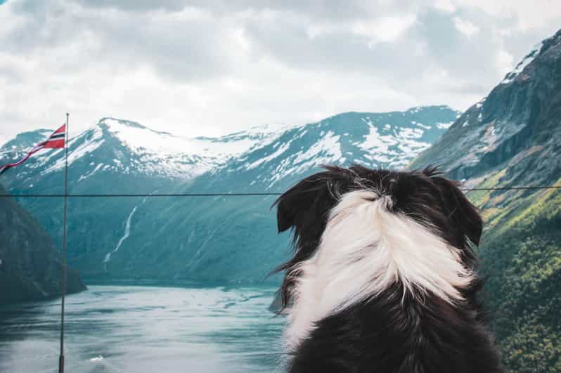 Ljøen, Hellesylt: Ljøen Farm Tour | GetYourGuide