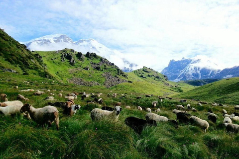 Kori Danda 3-Day Trek