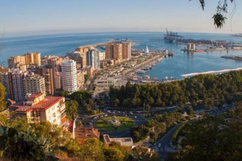 مالقة: جولة سياحية خاصة لمدة ساعتين أو نصف يومجولة مالقة لمدة ساعتين