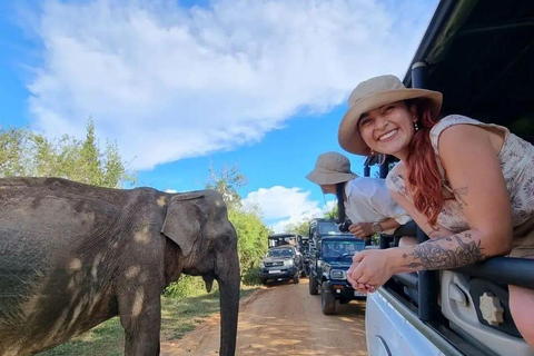 Parque Nacional de Yala: Viagem de 1 dia em um safári privado