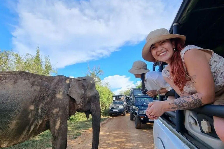 Parque Nacional de Yala: Excursión de un día a un safari privado