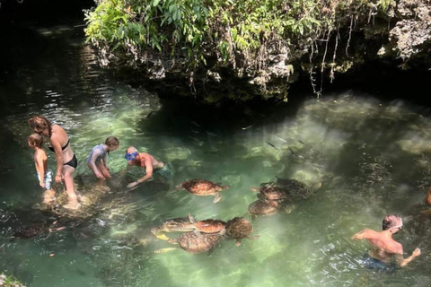 Zanzibar : baignade avec les tortues de mer et croisière en boutre au coucher du soleil