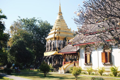 Chiang Mai: Tour dei templi e della culturaTour di gruppo