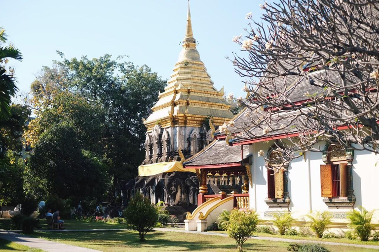 Chiang Mai: Tour dei templi e della culturaTour di gruppo