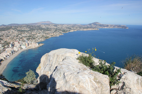 tour guiado por la ciudad de Alicante en privado