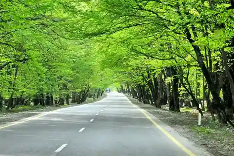 3 Nights 4 Days Azerbaijan Tour Package - Option 04