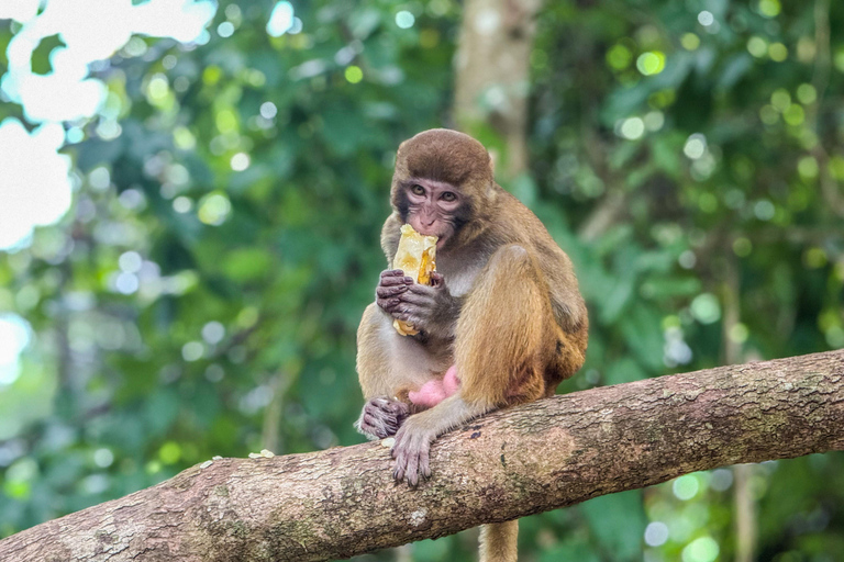 Chiang Mai: The Original Sticky Waterfalls & Thai Cooking