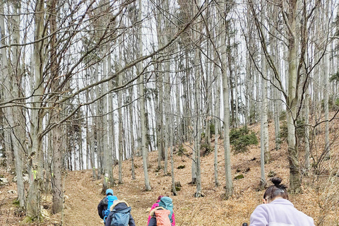 From Zarnesti: Magura Branului & Via Transilvanica Day Hike
