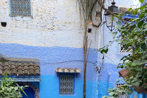 Upptäck Chefchaouen från Tangier