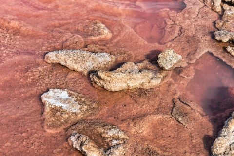From Paracas: Private Tour to Laguna Rosada, Red Beach and La Catedral Option with direct arrival at the meeting point