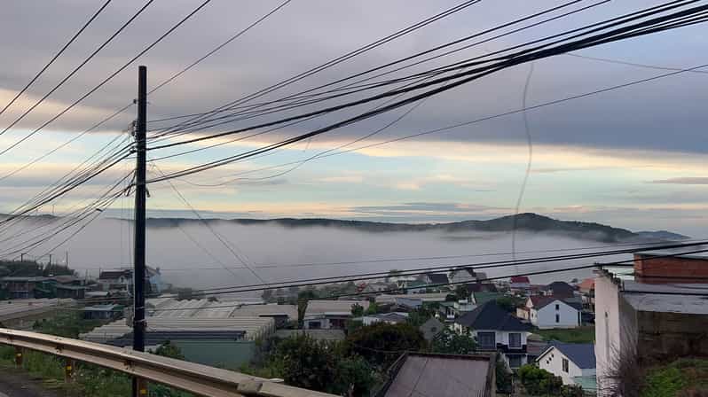 Galería de fotos para redes
