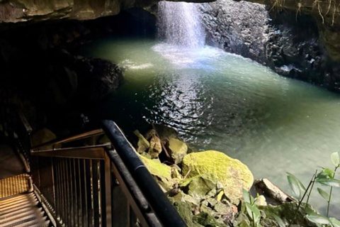 Brisbane: Natural Bridge, Glow worms & Magic Sky View