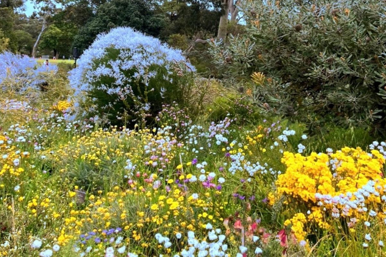 Follow the wildflower trail from Perth to New Norcia