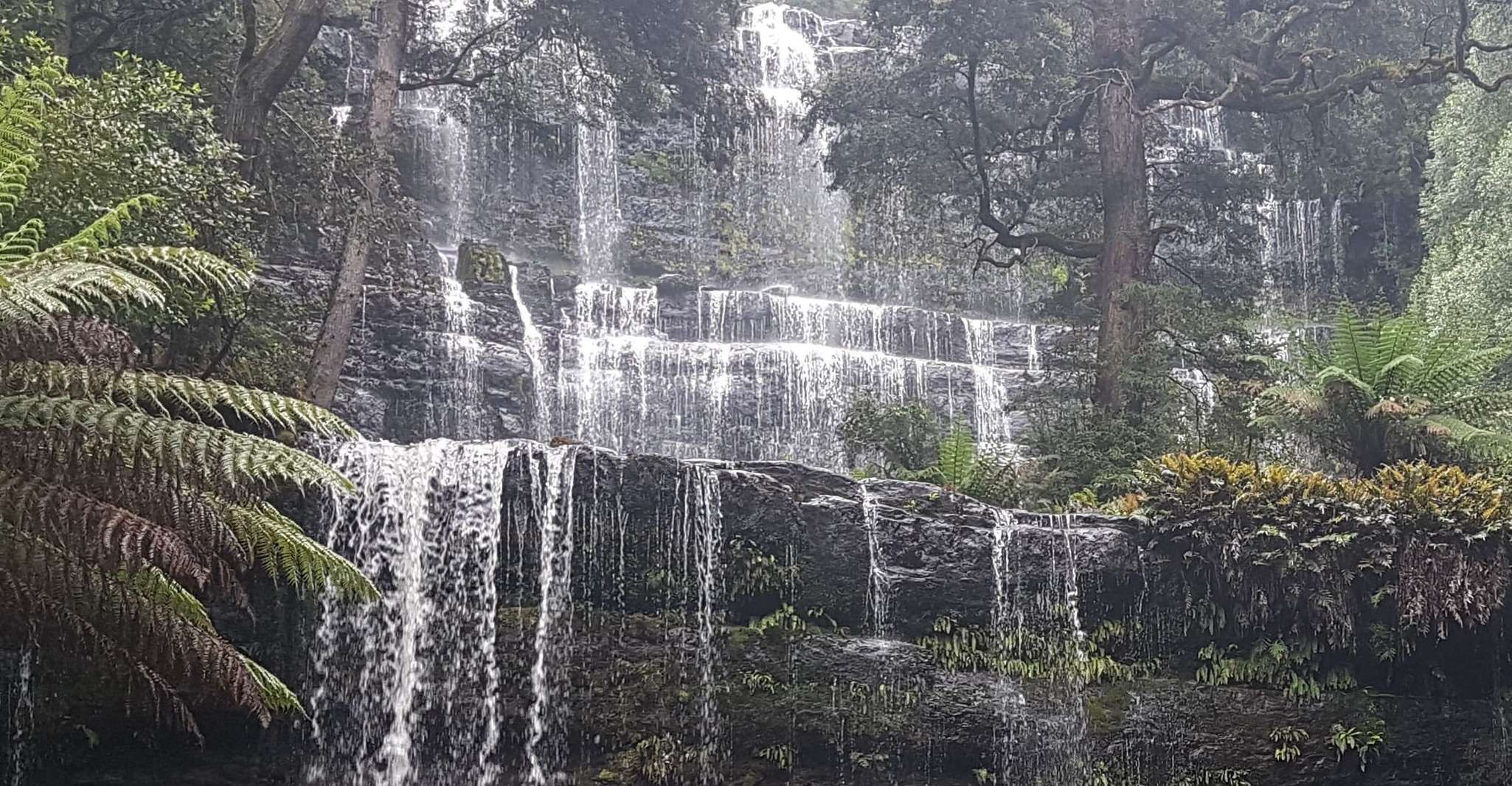 2 Tage Cradle Mountain Tour - Hizvo