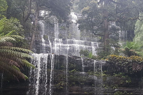 Från Hobart: 2 dagars rundtur i Cradle Mountain