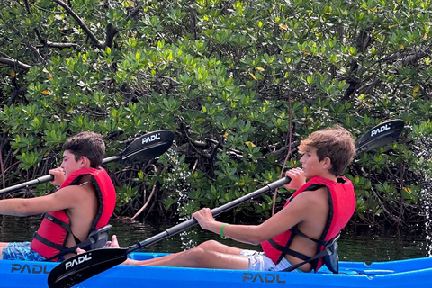Miami: Noleggio di tavole da paddle o kayak a Virginia KeyMiami: Noleggio di kayak in tandem a Virginia Key