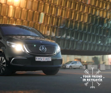 Private 3-Hour Airport/Cruise Transfer & Tour