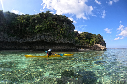 Okinawa: Private Kayak Mangrove or Reef with Native EnglishOkinawa: Private Kayak Tour with English-Speaking Guide