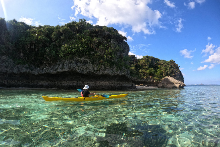Okinawa: Private Kayak Mangrove or Reef with Native EnglishOkinawa: Private Kayak Tour with English-Speaking Guide