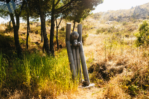 Desde Nápoles: Excursión de medio día con todo incluido al Monte VesubioDesde los hoteles de Nápoles