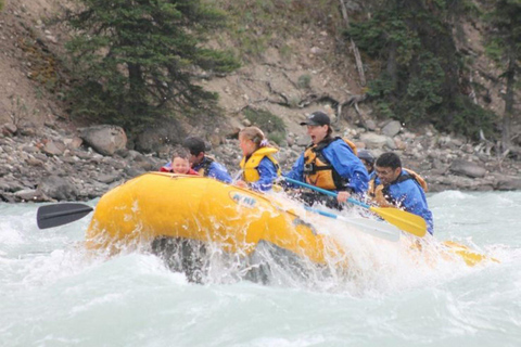 Jinja: Nile River Whitewater Rafting with Lunch
