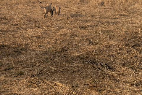 SAFARI ANIMALIER DE ZANZIBAR À MIKUMI 3 JOURS ET 2 NUITS