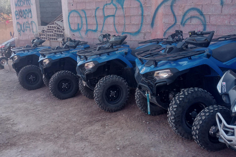 Quad e cena nel deserto di Agafay