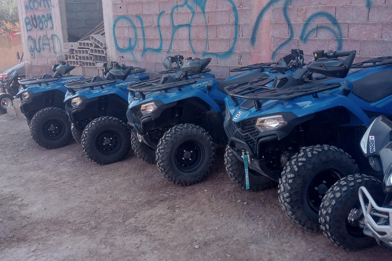 Quad bike and dinner in agafay desert