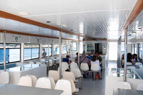 Roses : excursion en catamaran sur la Costa Brava avec vue sous-marineAu départ de Roses