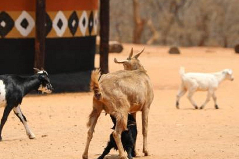Aventura de lujo de un día en las cataratas Victoria con vuelo en helicóptero