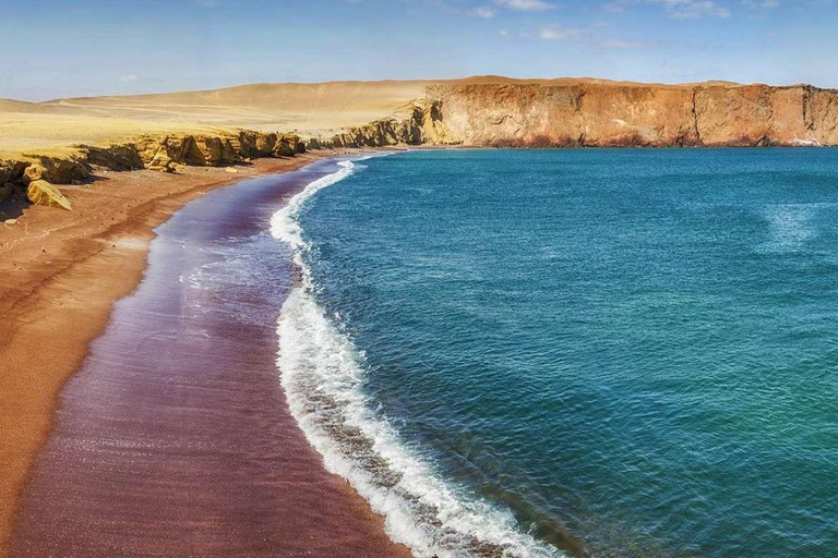 Paracas: Ballestas Islands + Paracas Reserve - FullDay Combo