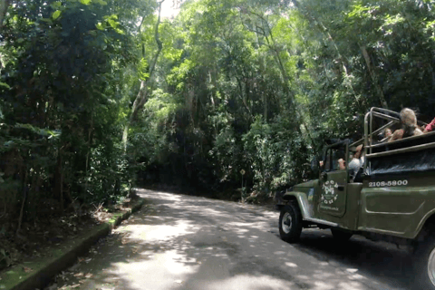 Rio: Jeep-Tour zum Botanischen Garten und Tijuca-WaldJeep Tour Botanischer Garten & Tijuca Wald