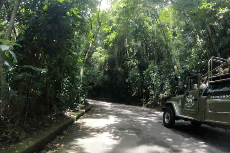 Rio: Jeep-Tour zum Botanischen Garten und Tijuca-WaldJeep Tour Botanischer Garten & Tijuca Wald