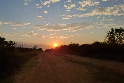 Dinokeng Safari with Transfer