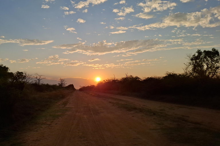 Dinokeng Safari with Transfer