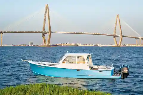 Charleston: Sunset Harbor Cruise for Dolphin Watching