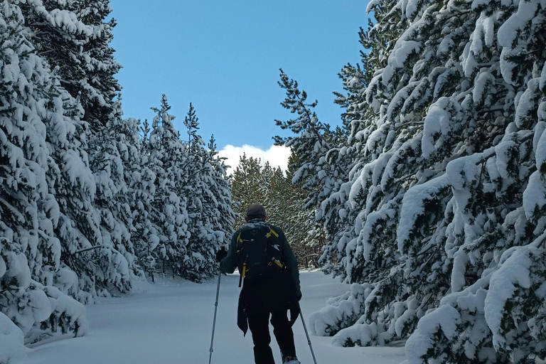 La Cerdanya: Snowshoe hike to the peaks of the Pyrenees