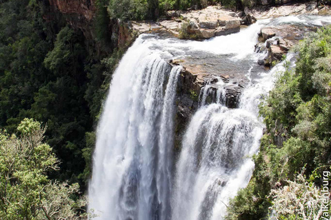 3-Day Kruger Park Safari and Panorama Route
